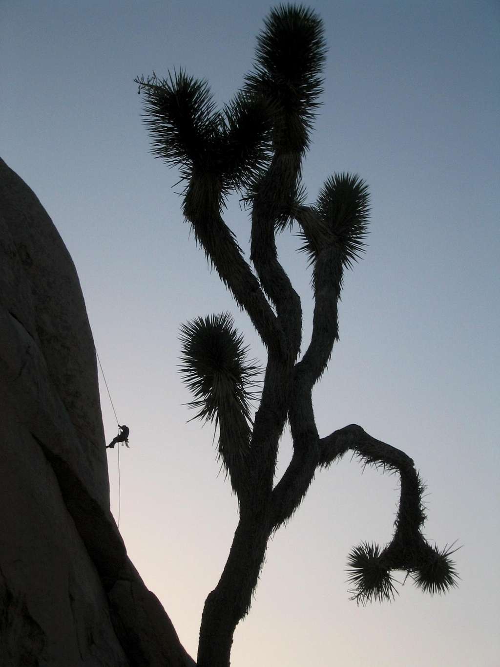 Rappelling off of Intersection Rock - Joshua Tree