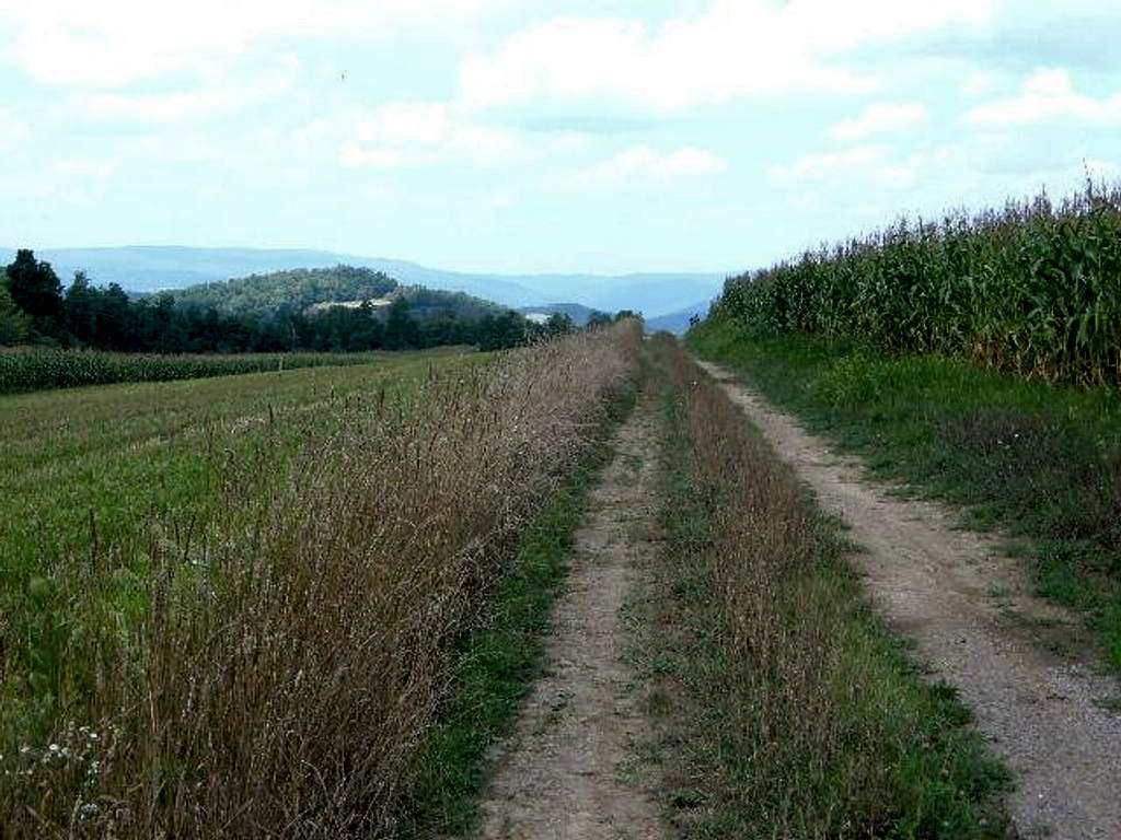 View from a cornfield not far from the summit