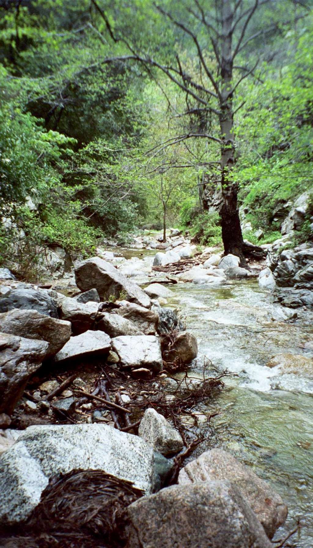 Millard Creek below Falls