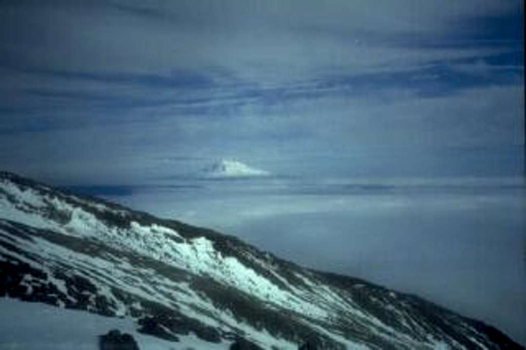 Mt. Adams from Monitor Ridge...