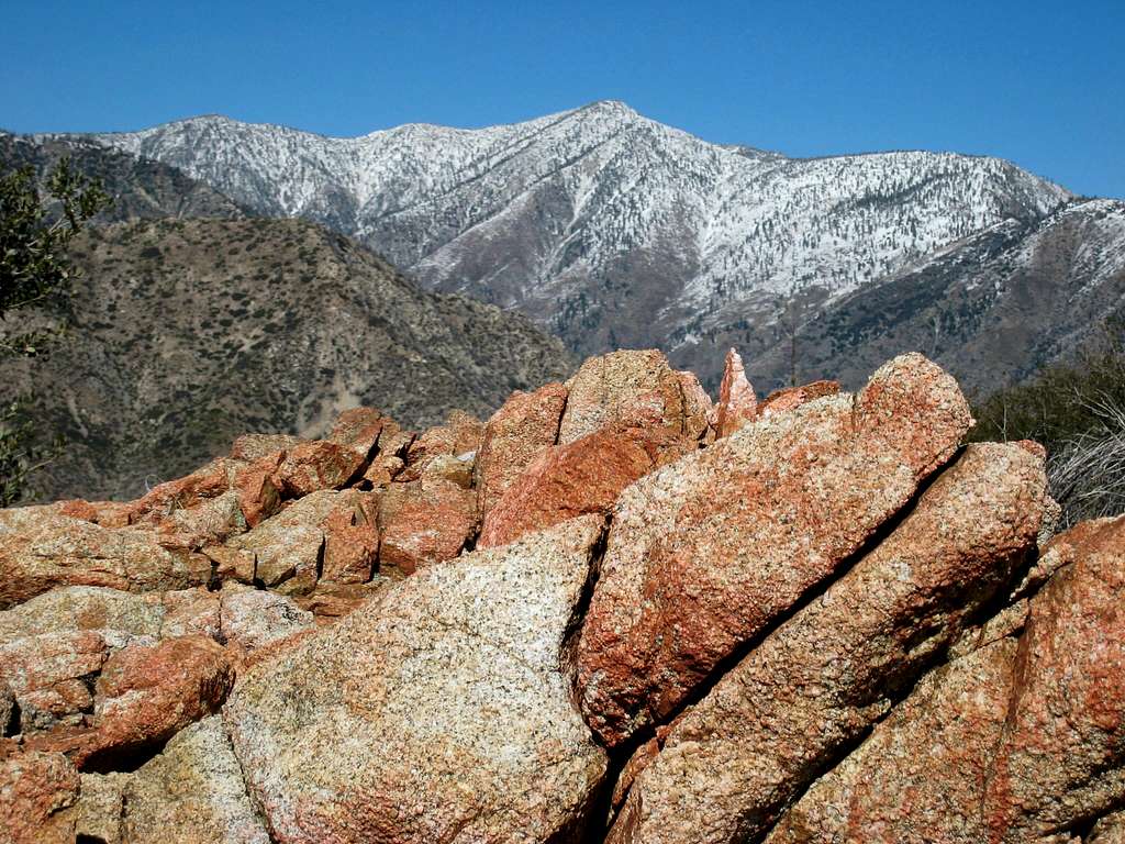 View NW of Mt. Baden-Powell  from just below Rattlesnake Pk Summit