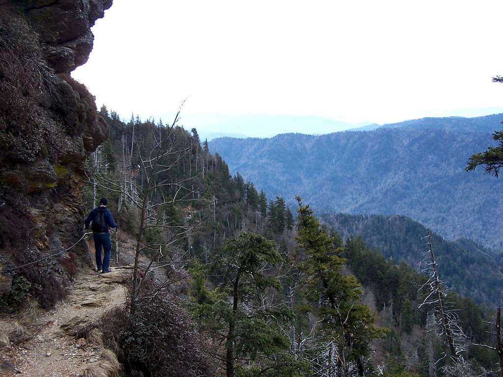 Alum Cave Trail, Mt. Leconte