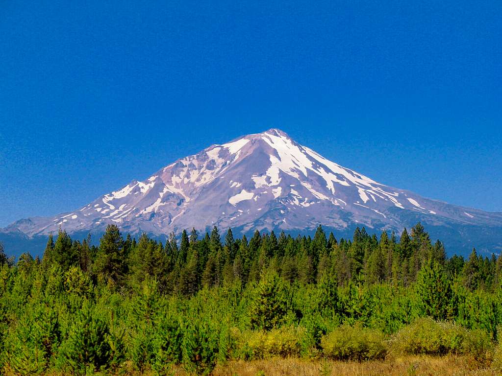 Mount Shasta