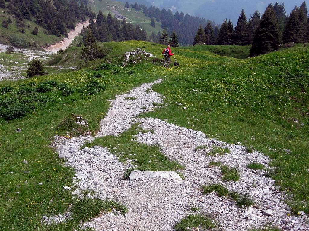 The path around Malga Cassinelli