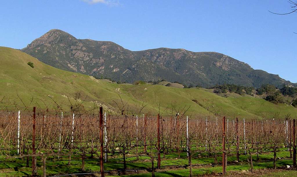 Mt. St. Helena from Alexander Valley.