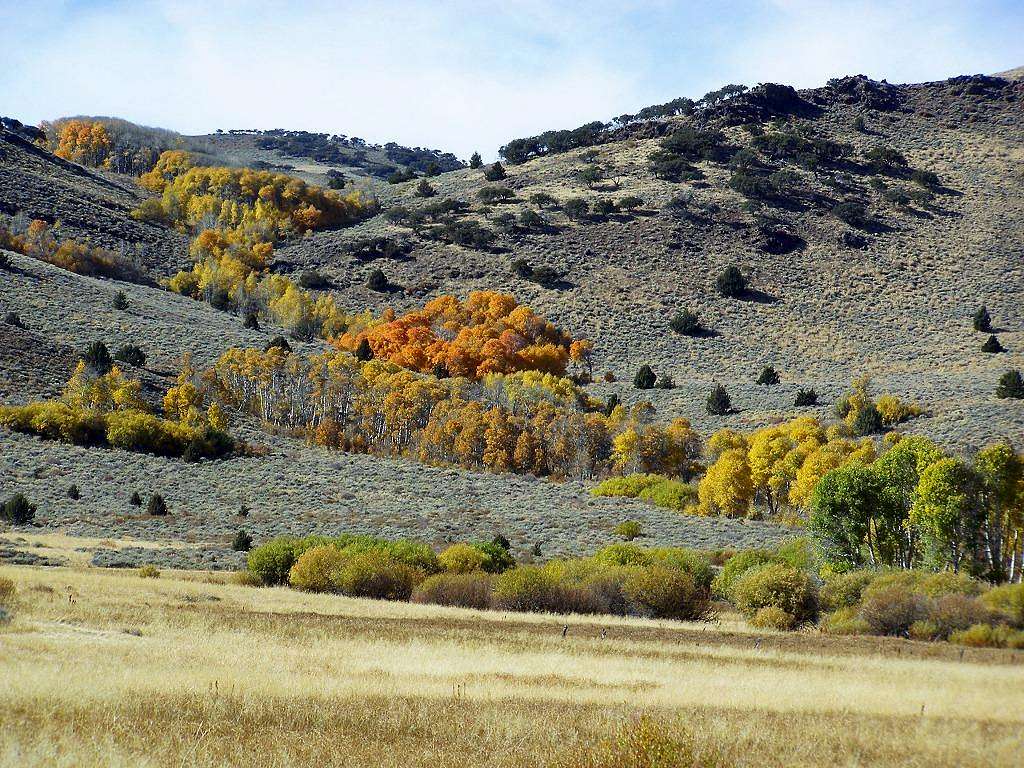 Fall colors near Warner Peak