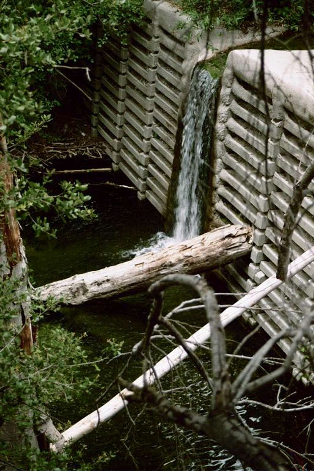 Switzers Trail Waterfall