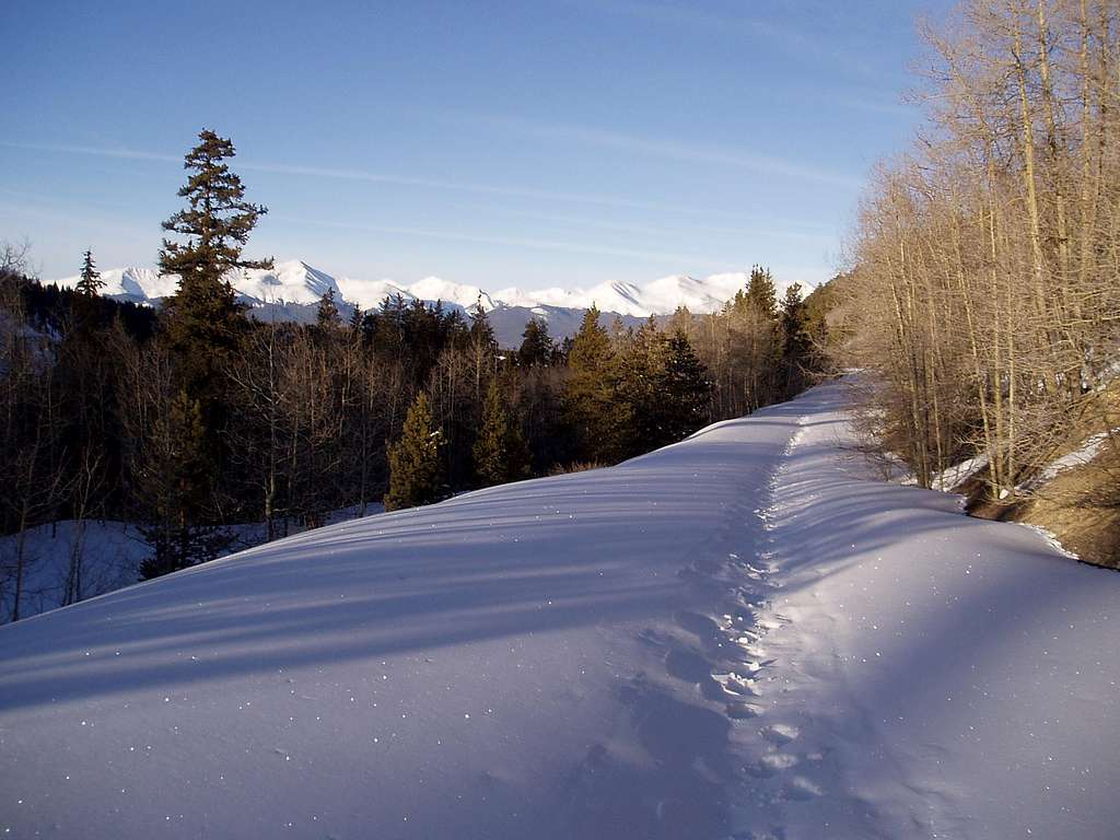 Iowa Gulch Trail