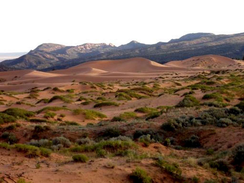 Coral Pink Sand Dunes Scenery