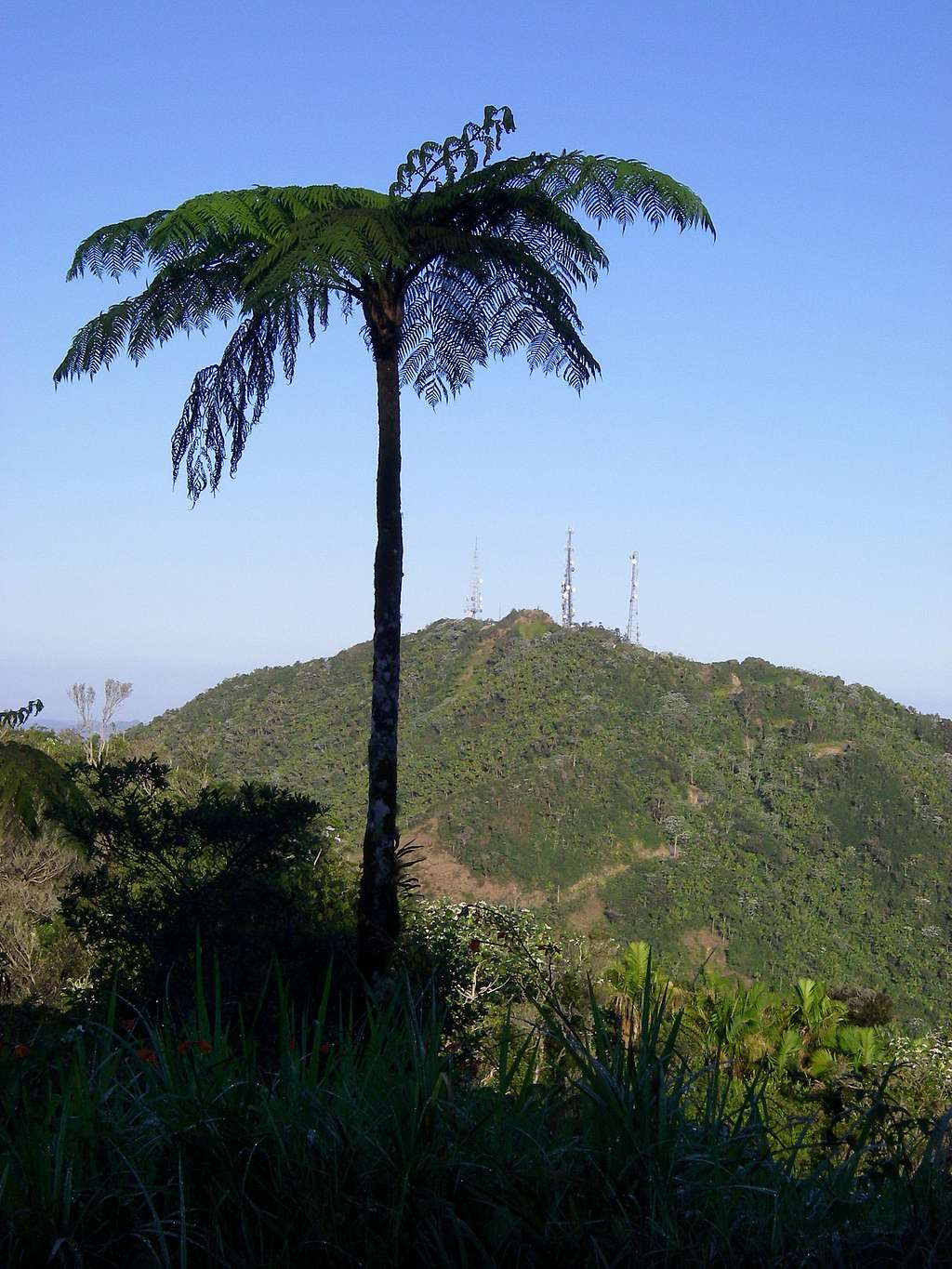 Cerro de Punta
