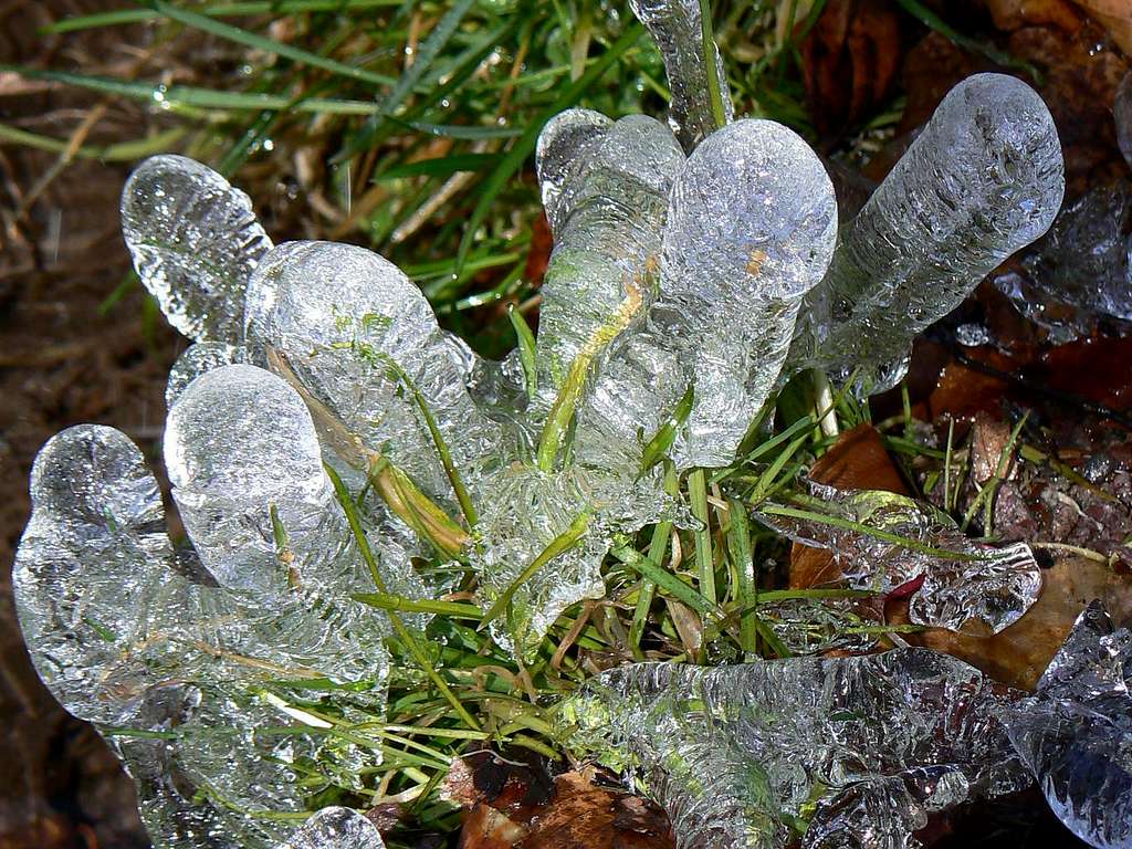 Ice and grass