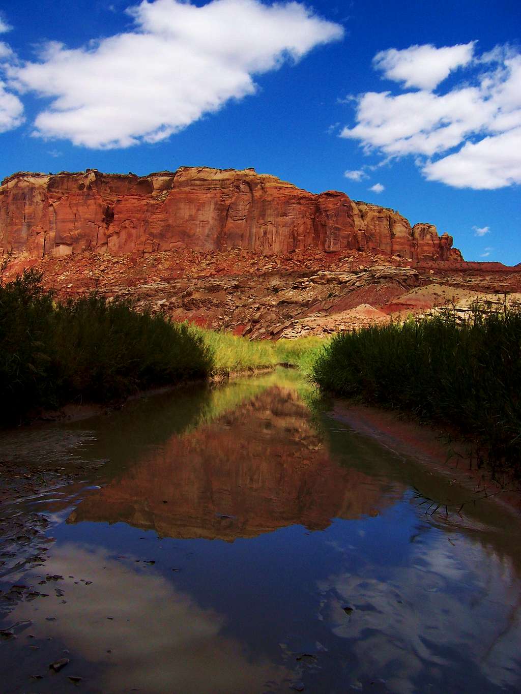 Reflection in Muddy Creek