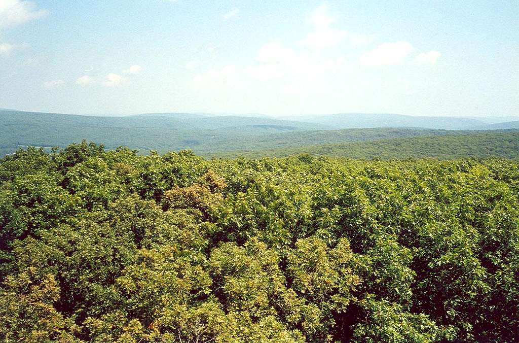 View of the Missouri Mountains