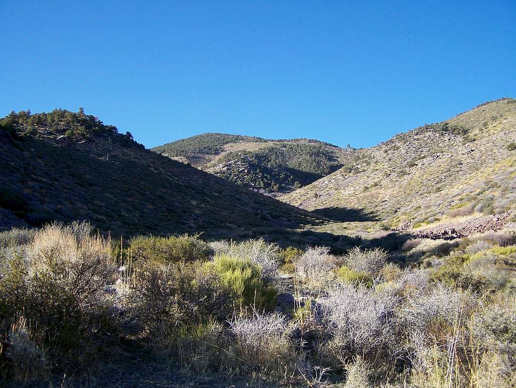 The wash leading to the ridge