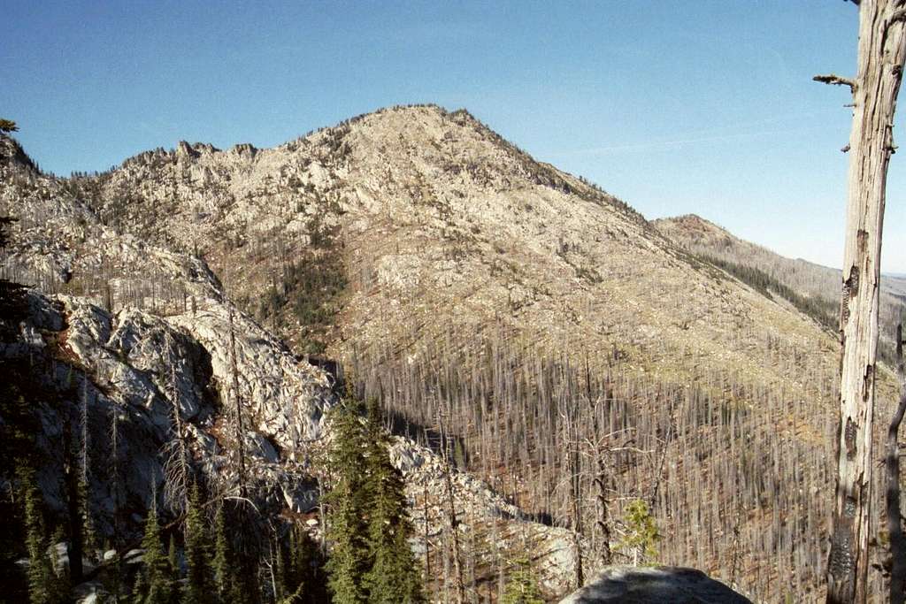 Bruin Mountain, North from Fisher Saddle