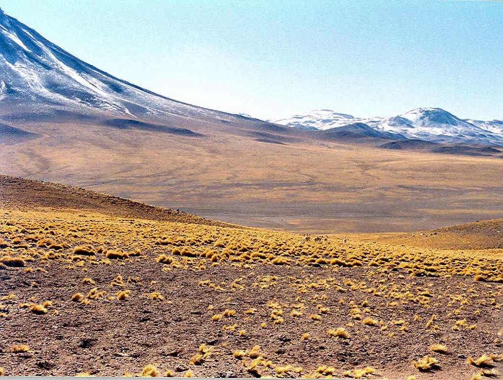 High Desert plains in Chile