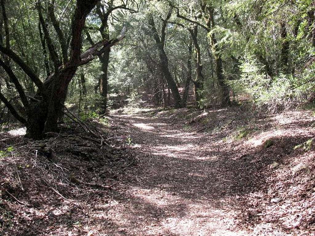 Los Alamos Trail