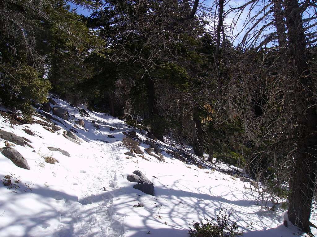 San Bernardino Peak Divide Trail