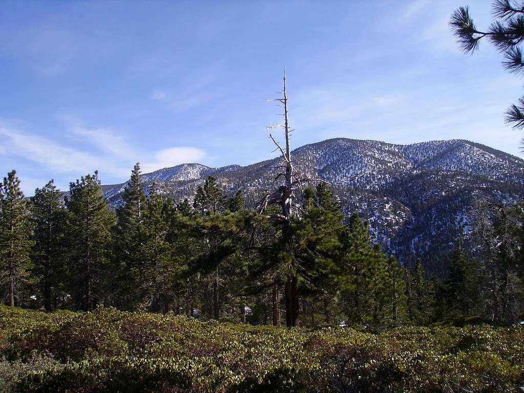 San Bernardino Peak