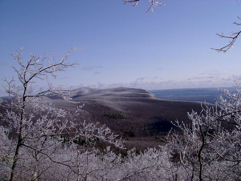 View North from Bear Mt