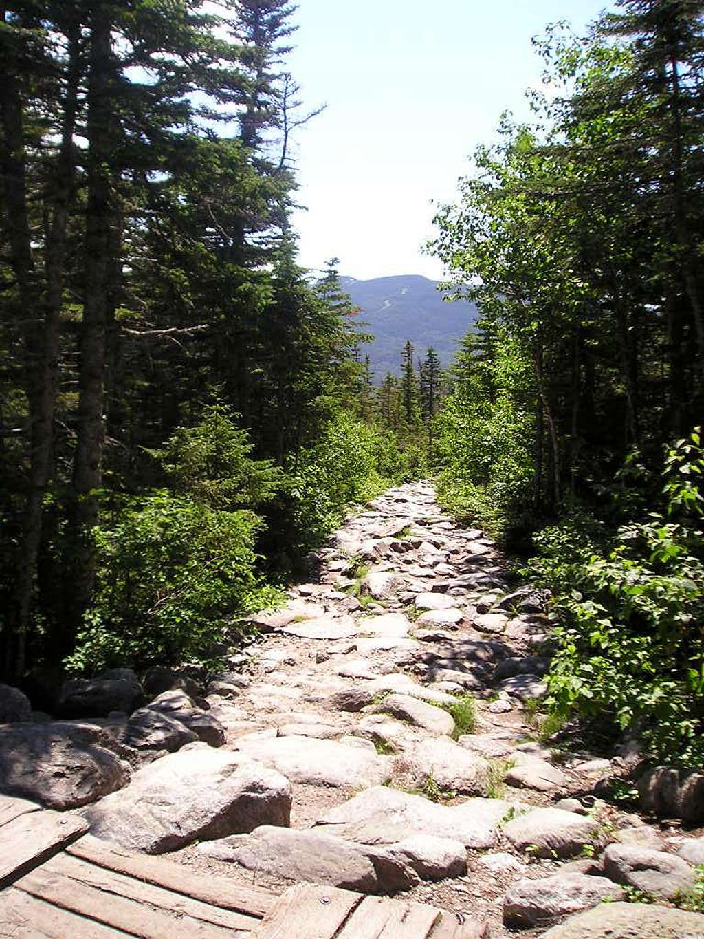Tuckerman Ravine Trail