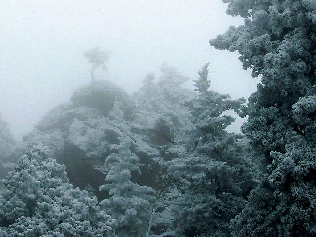 Foggy, Frosty Ridge