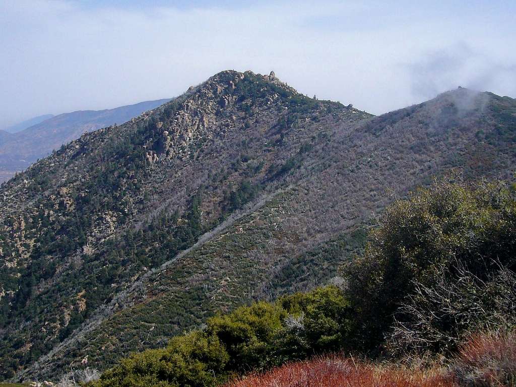 Pine Mountain from PCT
