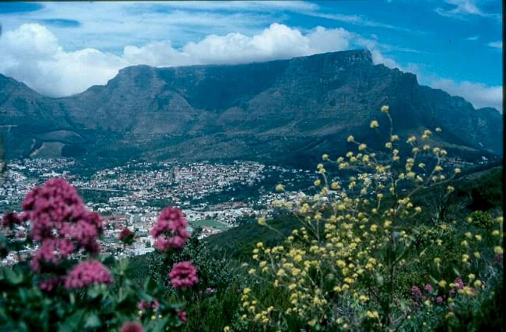 The Table Mountain seen from...