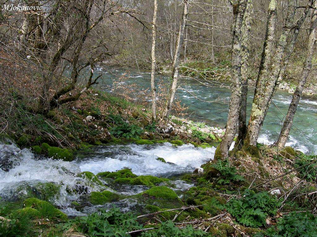 Komarnica river