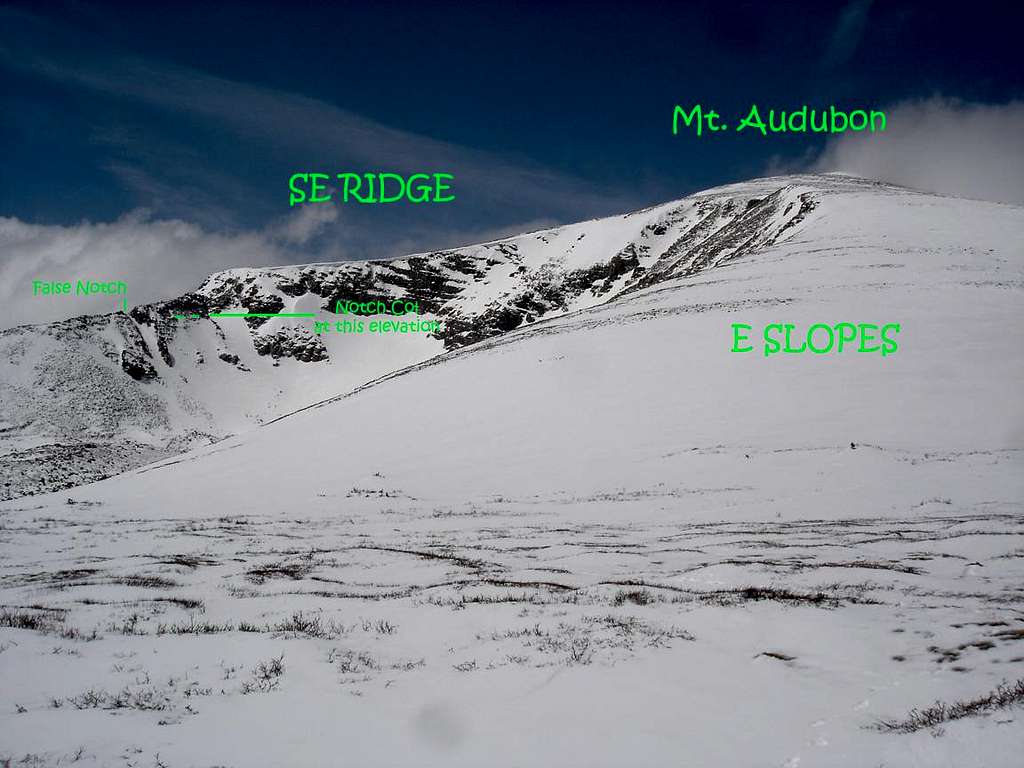 Audubon's SE ridge upper from E slopes.