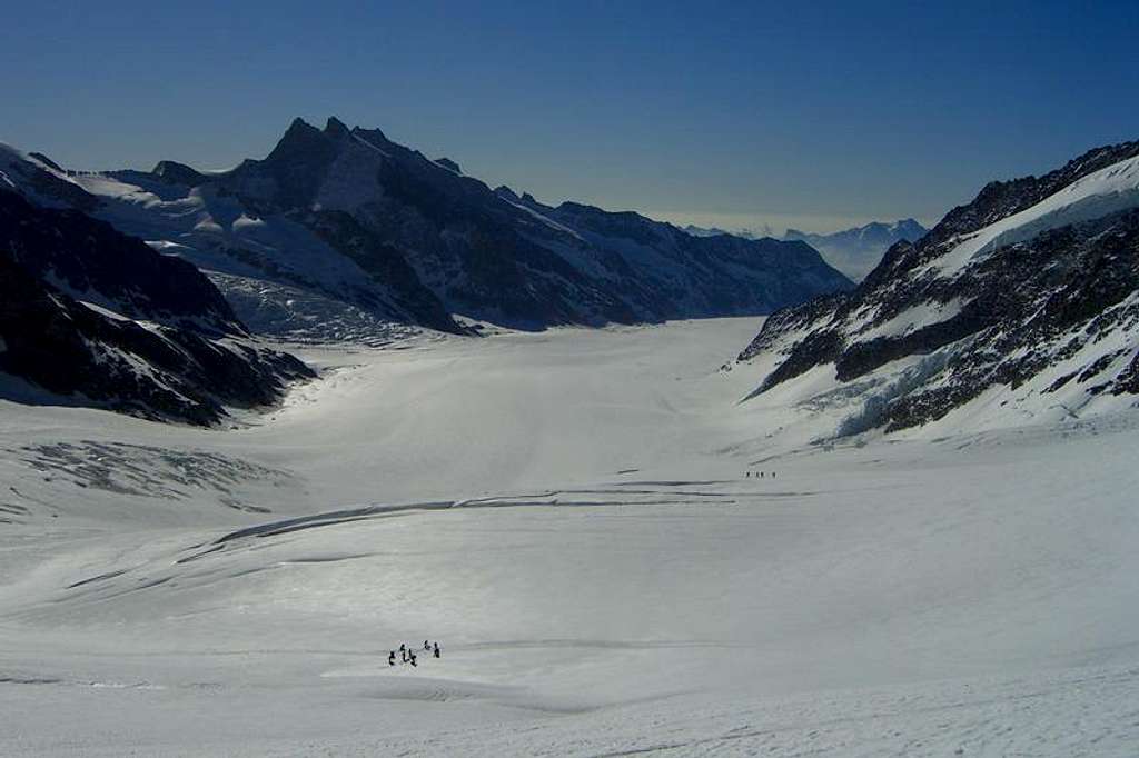 Aletsch-glacier