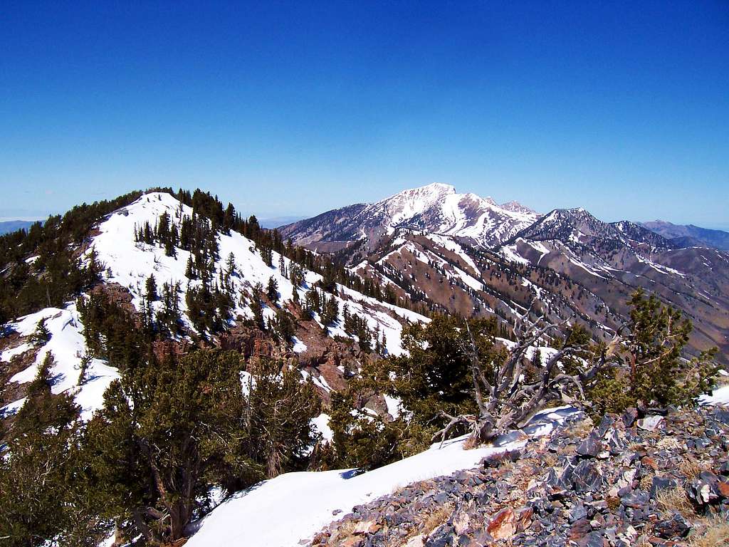 Deseret Peak from Vickory Mountain