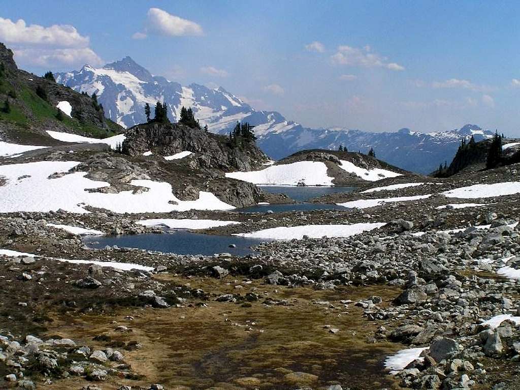 Tarns at Yellow Aster Butte