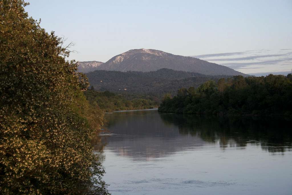 Shasta Bally