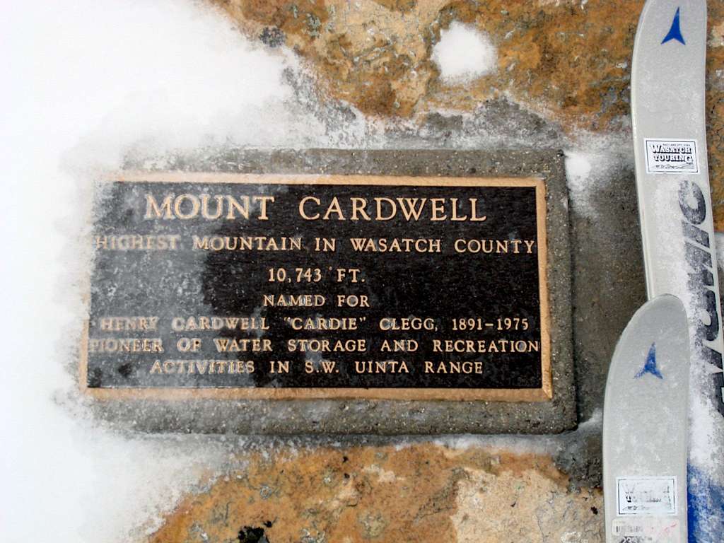 Mount Cardwell plaque
