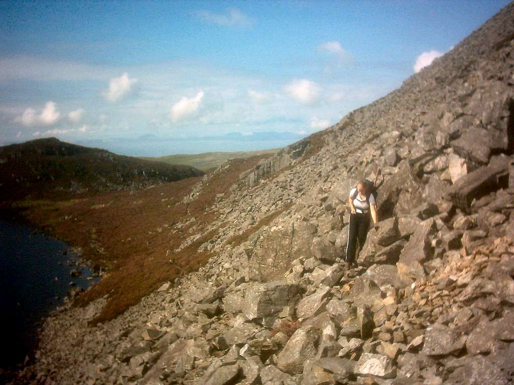 The Screes of Rhinog Fach