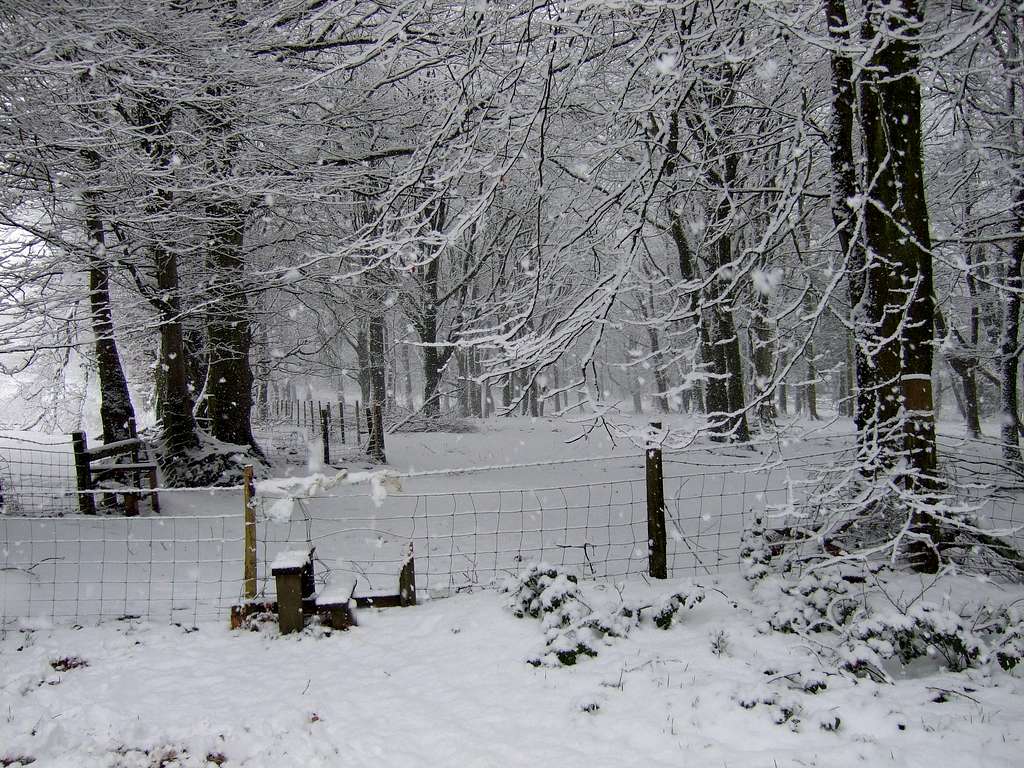 The stile at the beginning of Long Wood