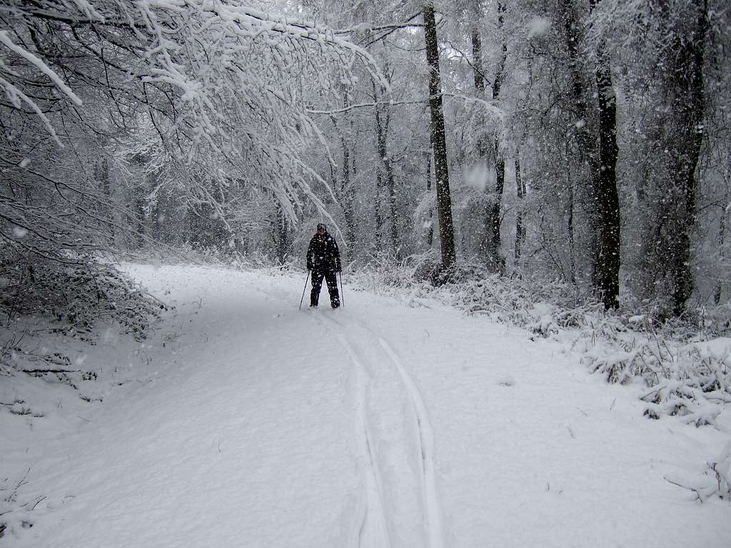 Me skiing along a track in Long Wood