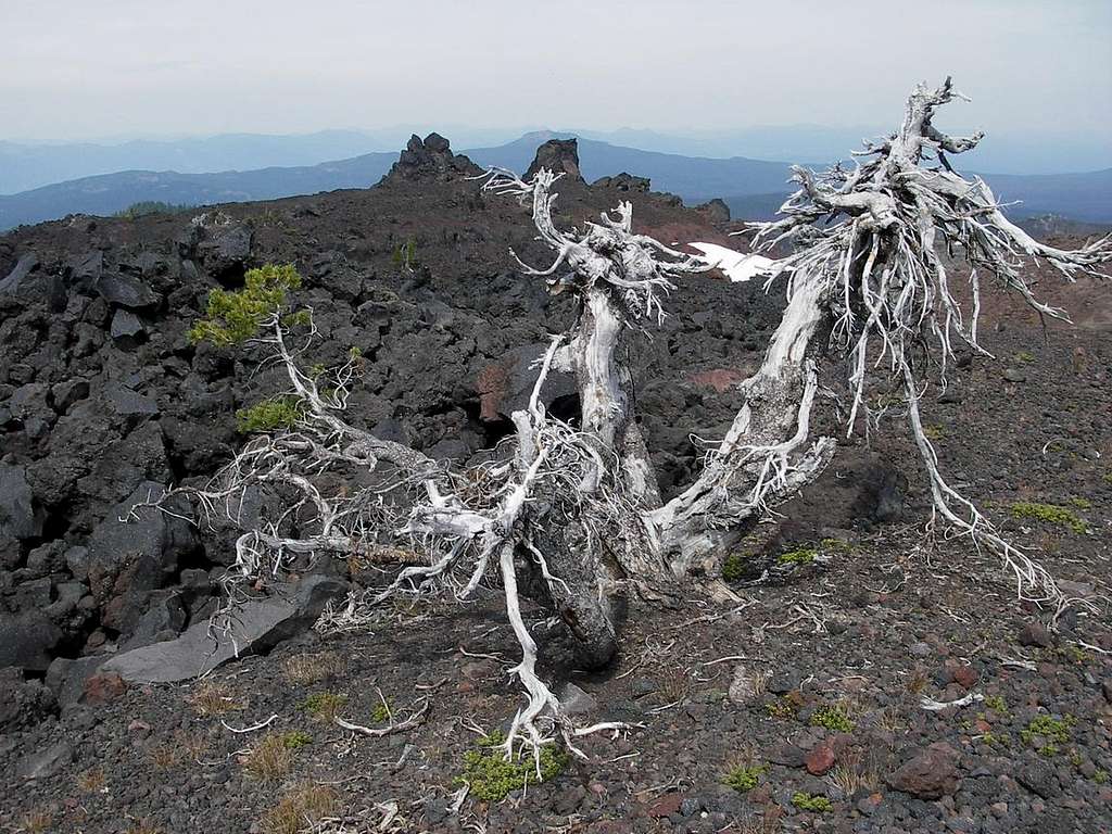 Lava Field, Oregon