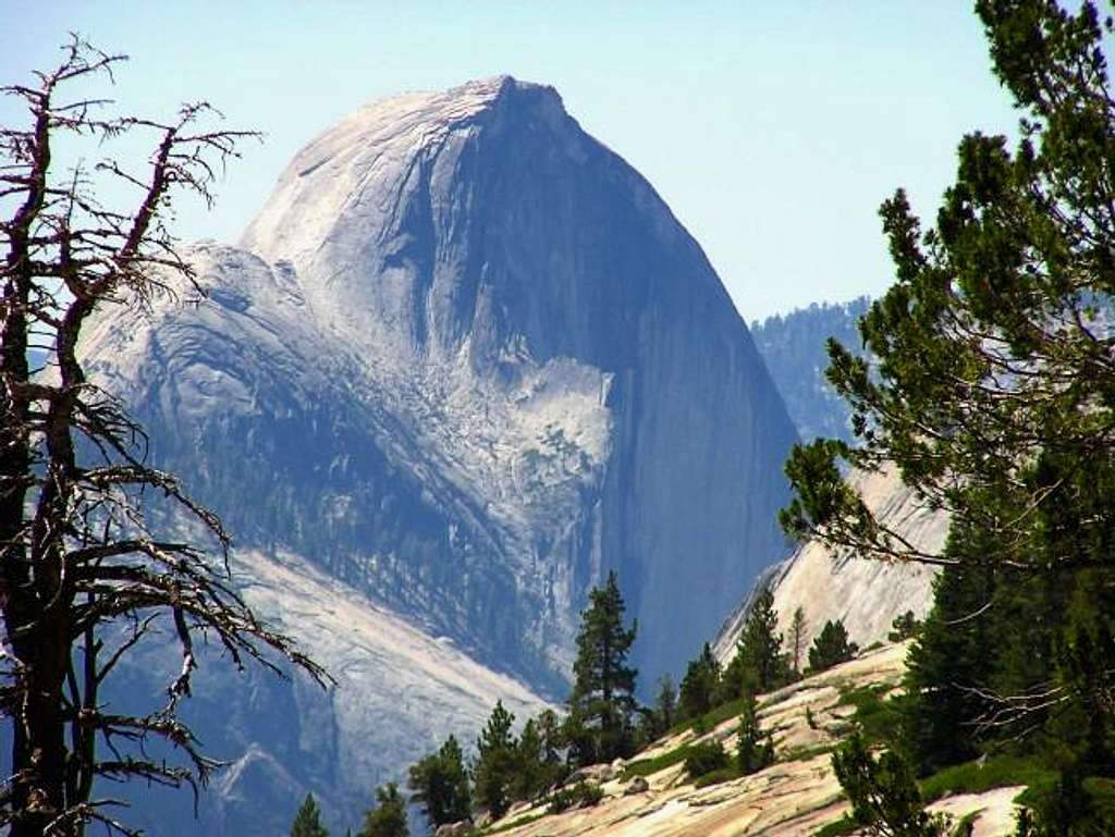 Half Dome from the northeast.