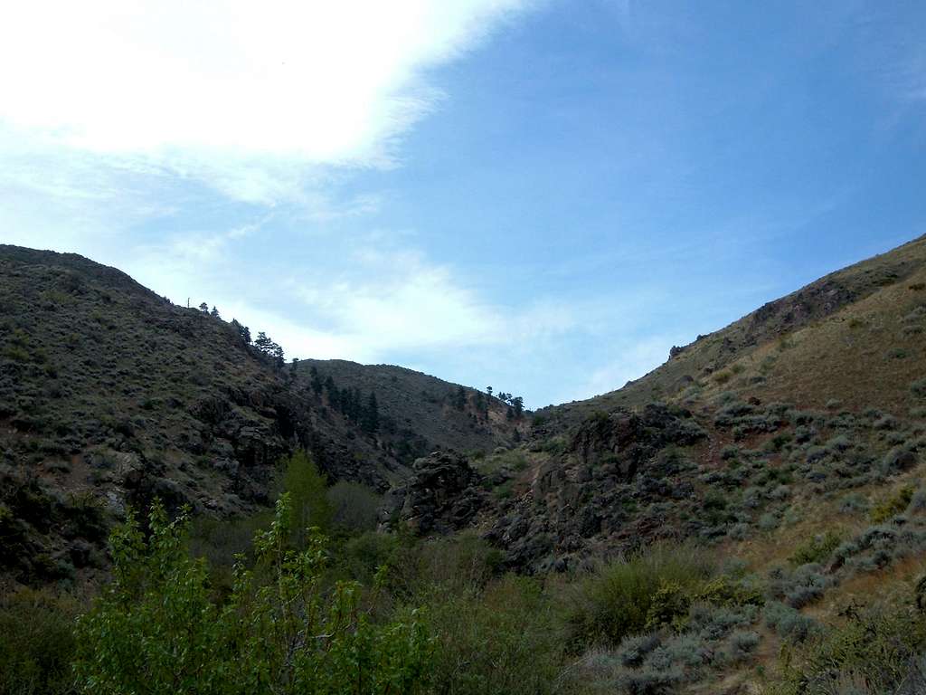Start of the Hunter Creek Trail