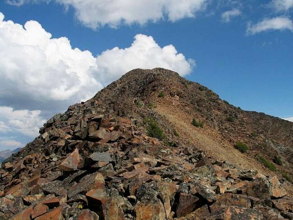 Looking up the ridge near the...