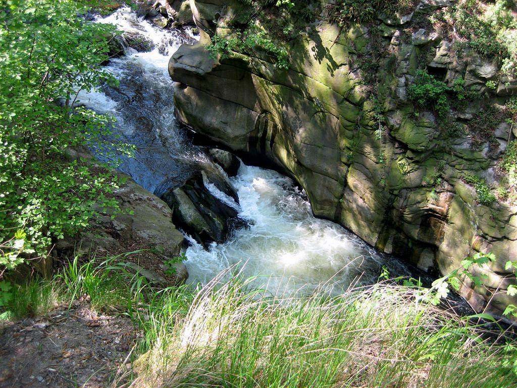 The Bode in the Bodekessel