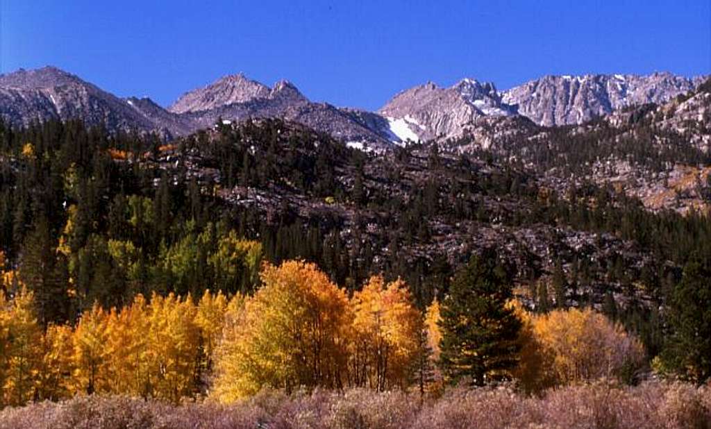 Fall colors at the Piute Pass...