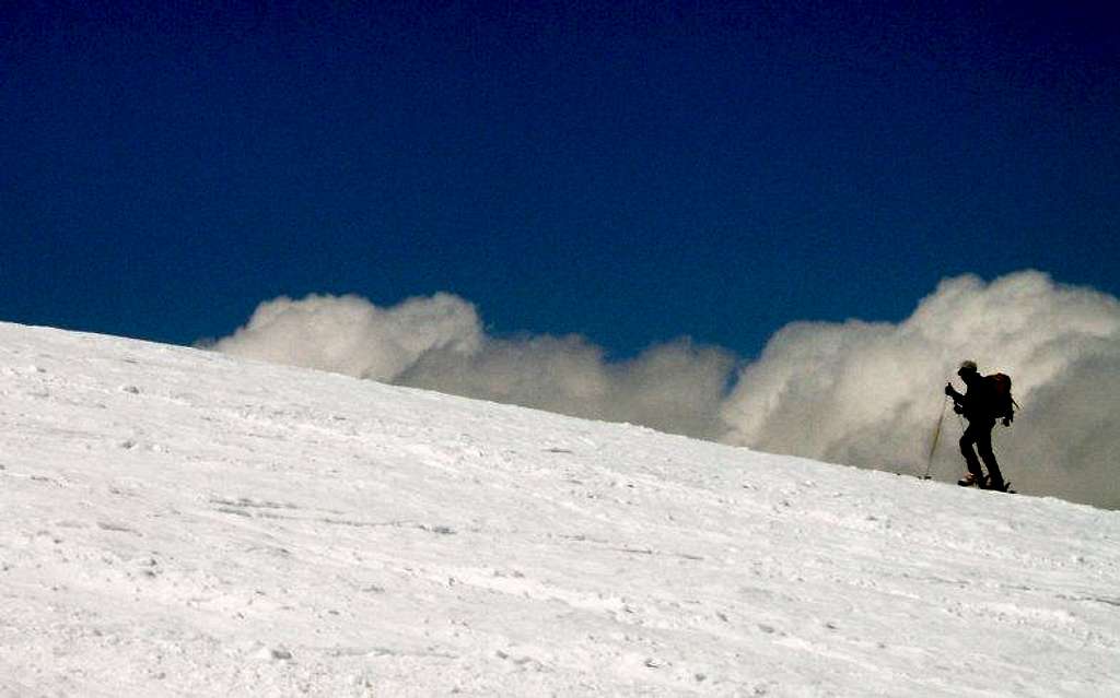 Skier ascending Cevedale