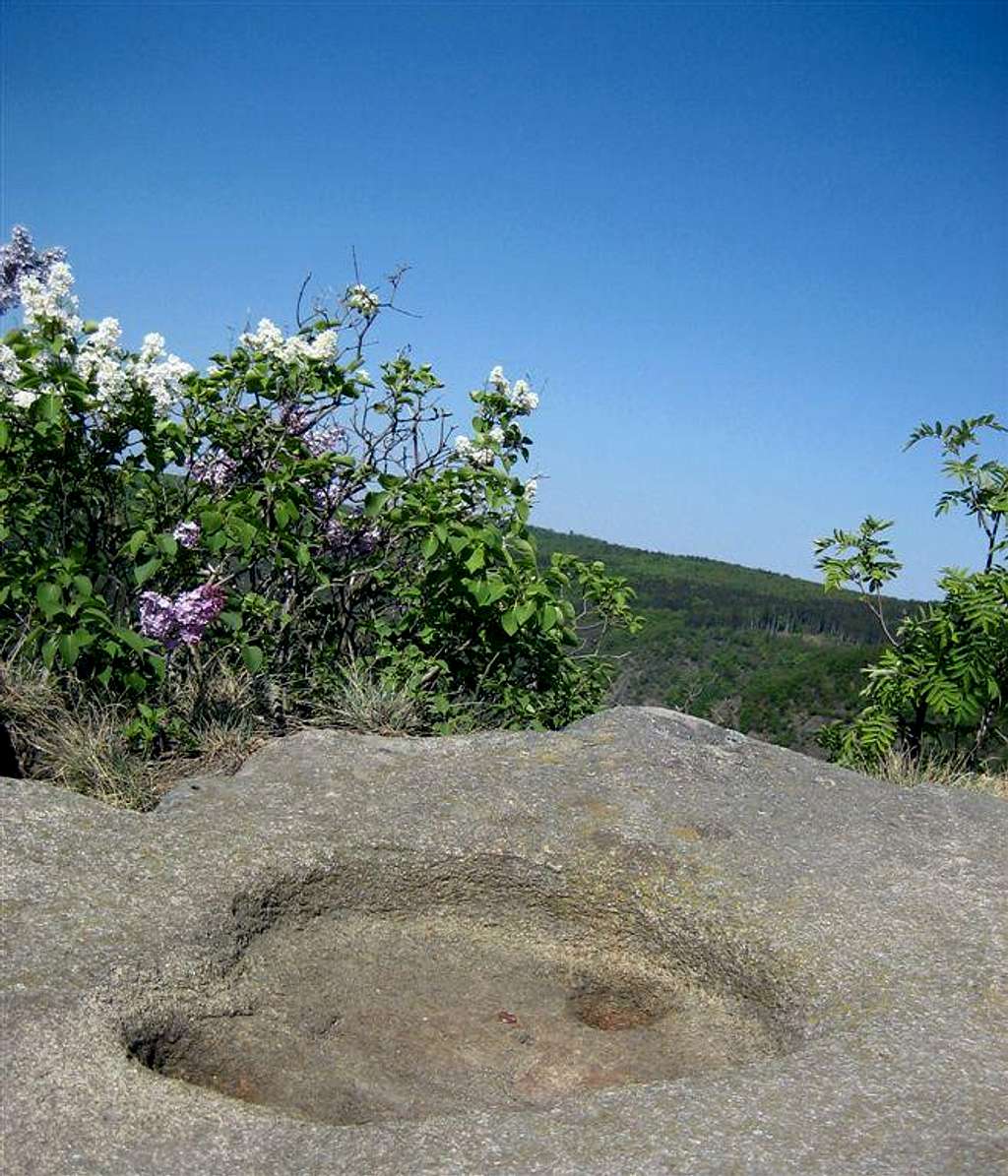 A hoofprint by the horse of Brunhilde