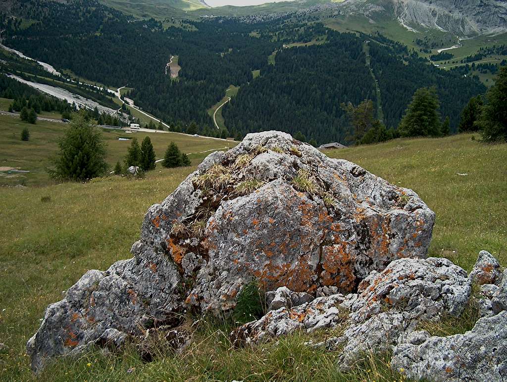 Lichen in the Dolomites