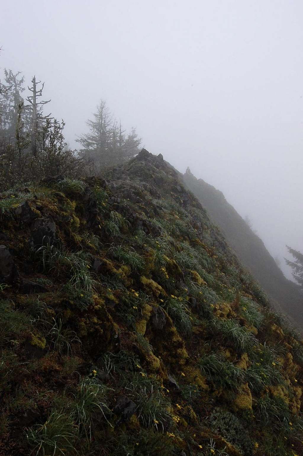 Summit ridge : Photos, Diagrams & Topos : SummitPost