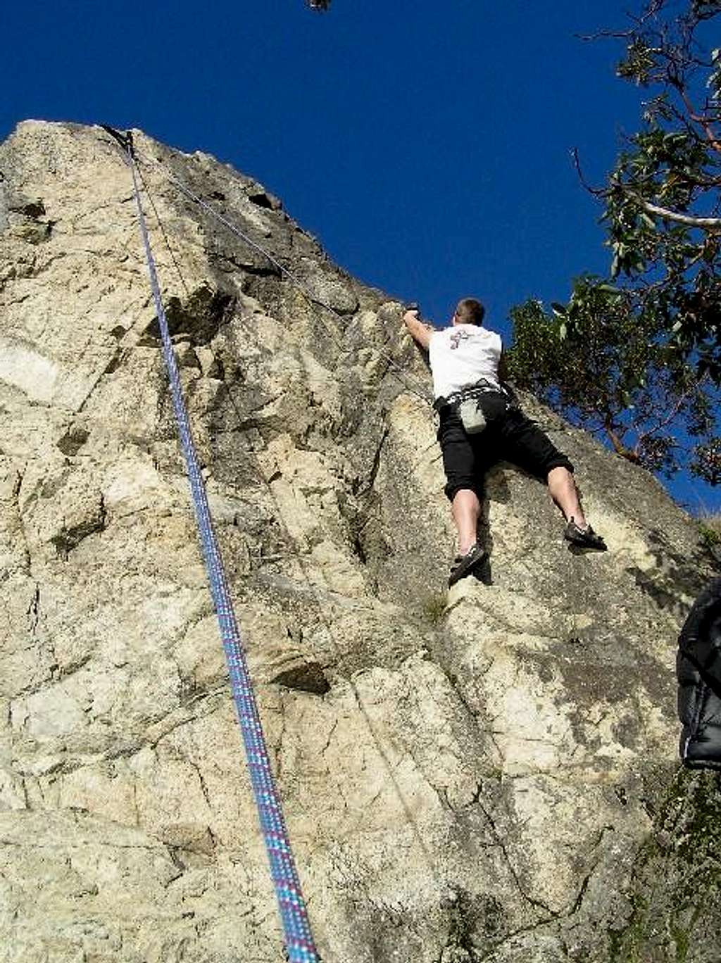 Climbing @ Lighthouse Park