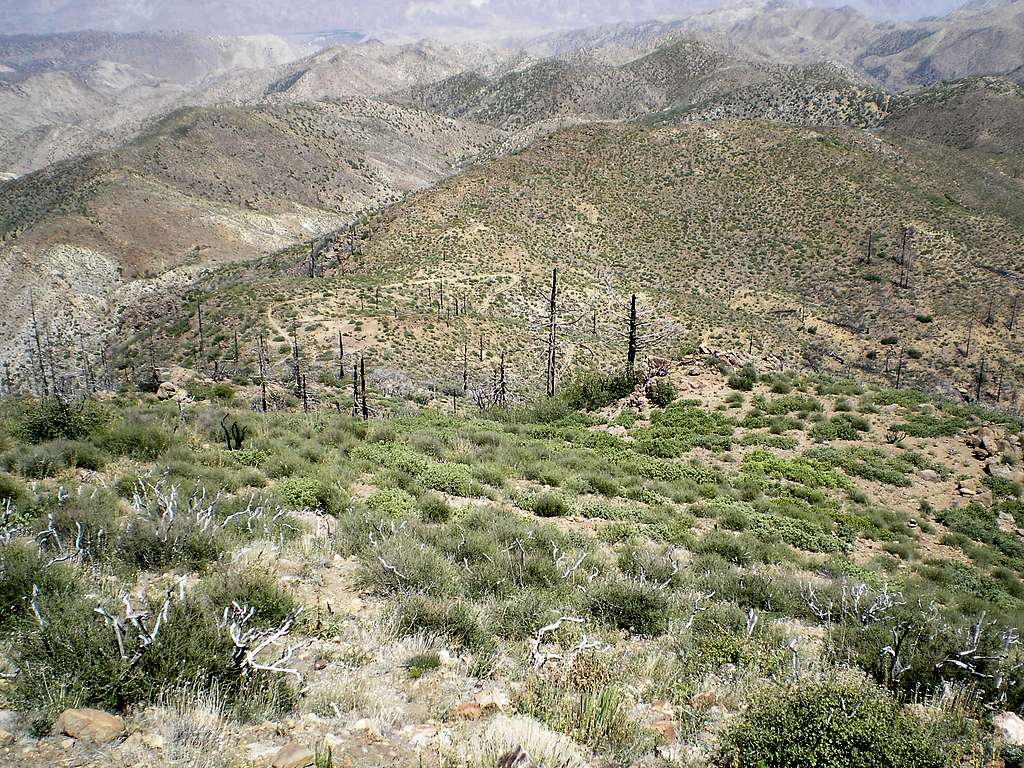 Looking Down on PCT through the Combs' Saddle